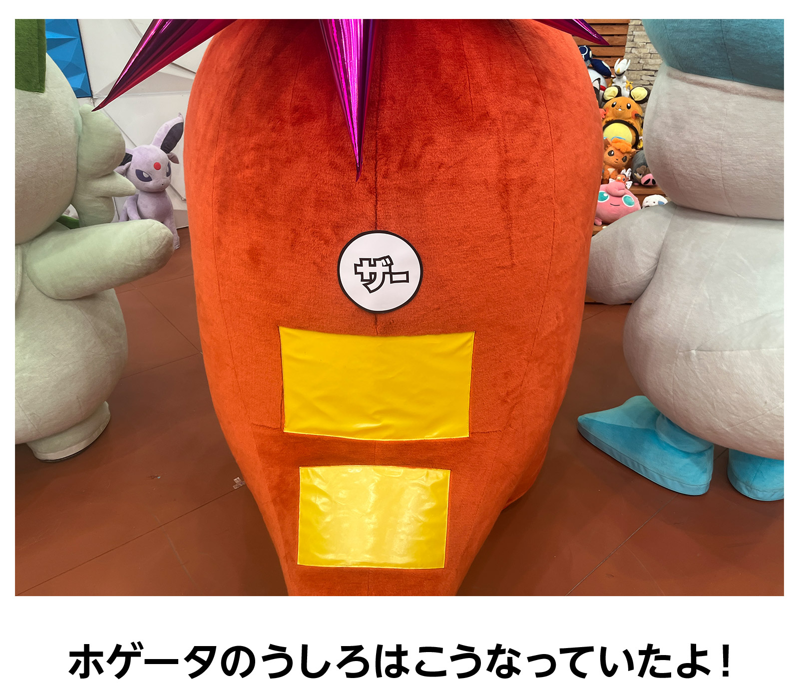 ホゲータのうしろはこうなっていたよ!