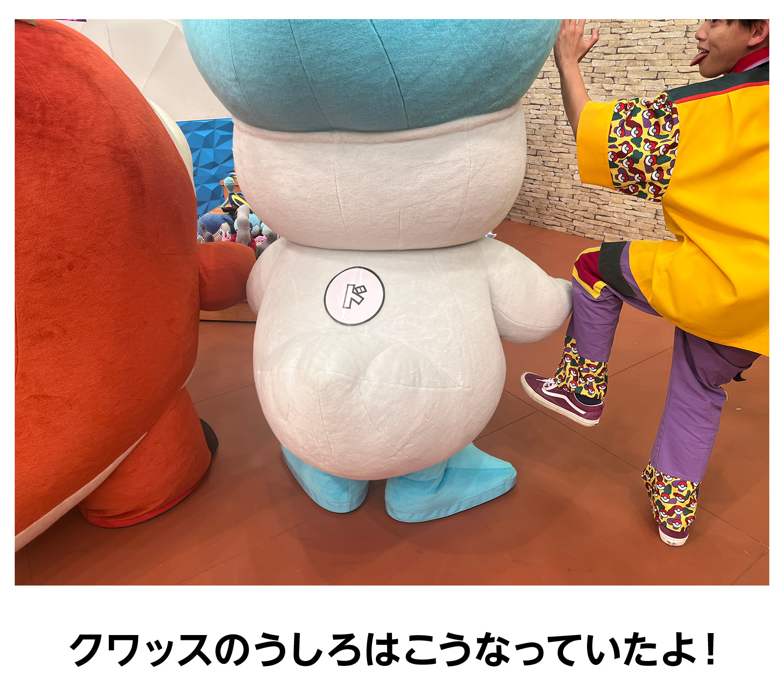 クワッスのうしろはこうなっていたよ!