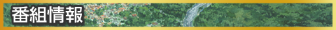 番組情報