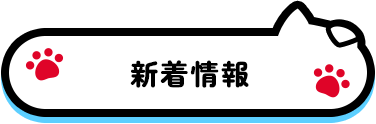 新着情報