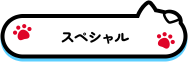 スペシャル