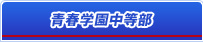 青春学園中等部