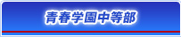 青春学園中等部