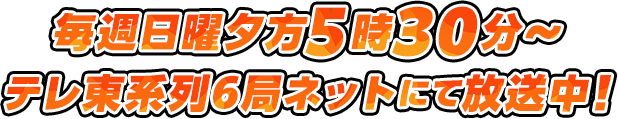 毎週日曜夕方5時30分～テレ東系列6局ネットにて放送中！