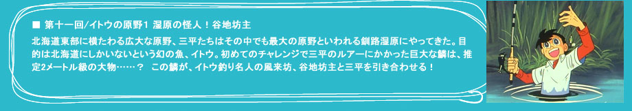 「第十一回　イトウの原野１ 湿原の怪人！谷地坊主」北海道東部に横たわる広大な原野、三平たちはその中でも最大の原野といわれる釧路湿原にやってきた。目的は北海道にしかいないという幻の魚、イトウ。初めてのチャレンジで三平のルアーにかかった巨大な鱗は、推定2メートル級の大物……？　この鱗が、イトウ釣り名人の風来坊、谷地坊主と三平を引き合わせる！