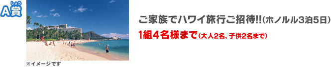 Ａ賞：ご家族でハワイ旅行ご招待!!(ホノルル3泊5日)　1組4名様まで(大人2名、子供2名まで)