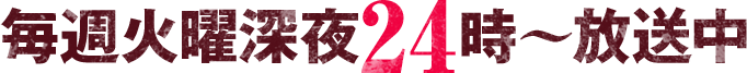 毎週火曜深夜24時～放送中
