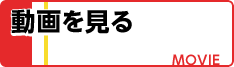 動画を見る