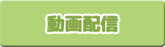 動画配信
