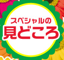 �X�y�V�����̌��ǂ���