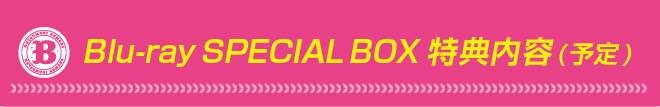 Blu-ray SPECIAL BOX特典内容