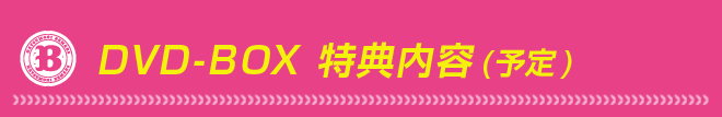 DVD-BOX特典内容