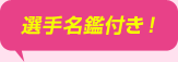 選手名鑑付き！