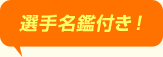 選手名鑑付き！