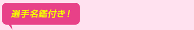 選手名鑑付き！