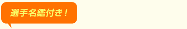 選手名鑑付き！