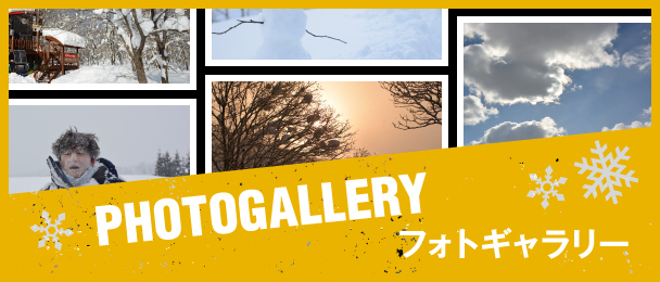 PHOTOGALLERY フォトギャラリー