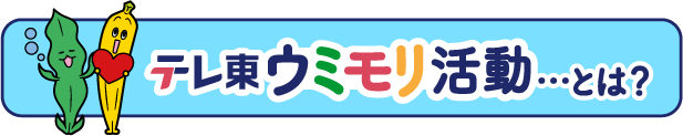 ちょっといい明日のために。テレ東は海や森を豊かにする活動を行っています！
