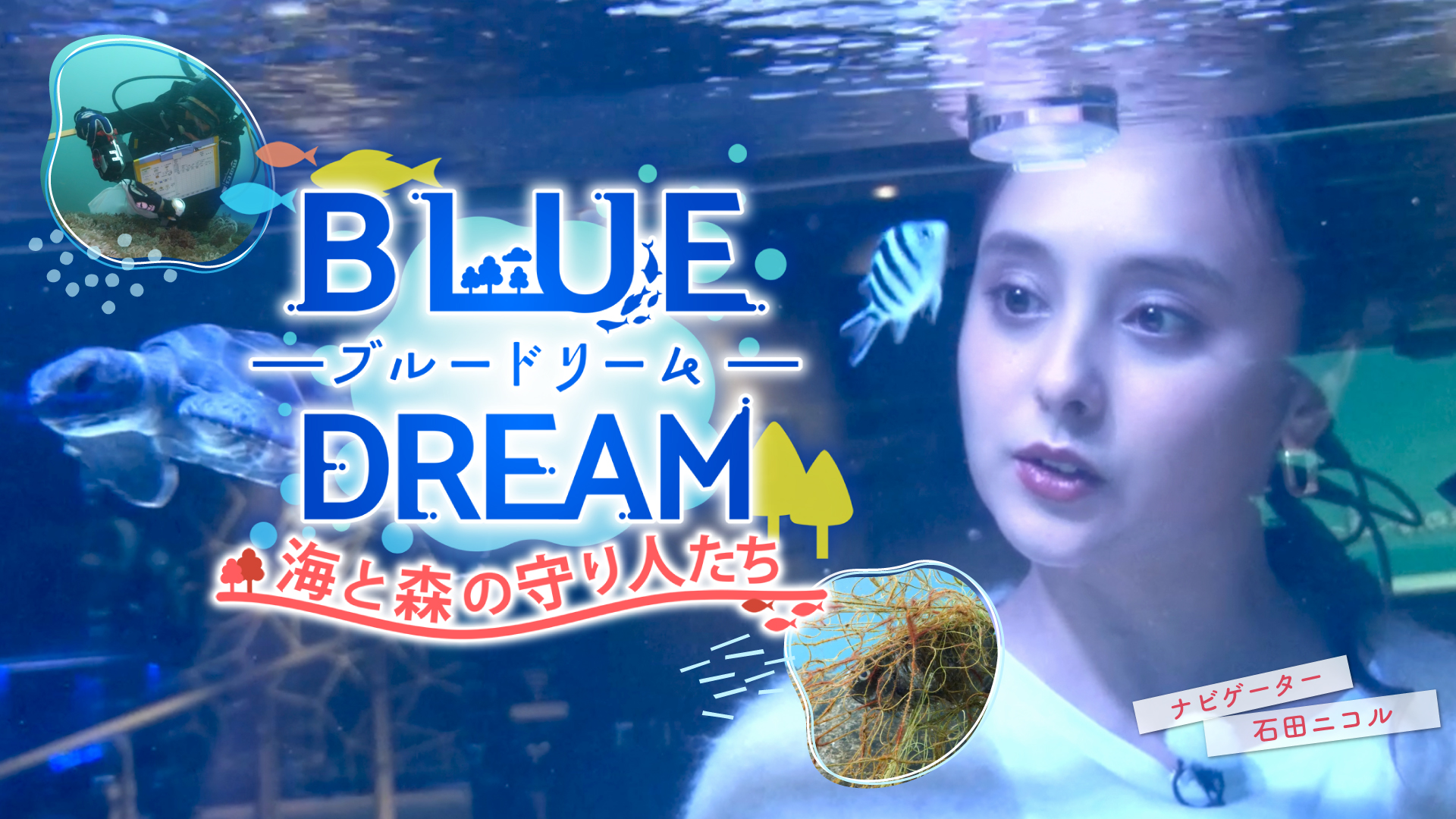 BLUE DREAM ブルードリーム 海と森の守り人たち