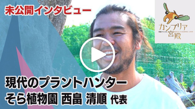 未公開インタビュー