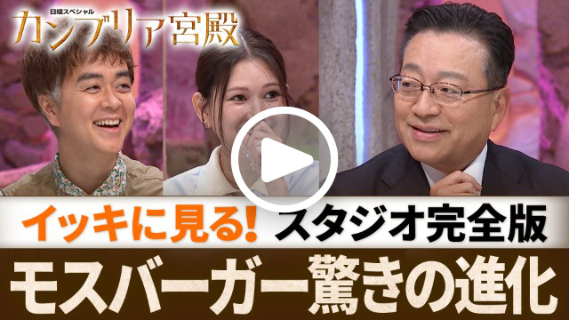 スタジオ完全版