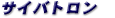 �T�C�o�g����