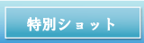 特別ショット