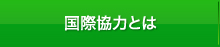 国際協力とは