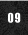 09