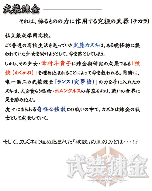 武装錬金---------それは、操るものの力に作用する究極の武器（チカラ）私立銀成学園高校。ごく普通の高校生活を送っていた武藤カズキは、ある晩怪物に襲われていた少女を助けようとして、命を落としてしまう。しかし、その少女・津村斗貴子に錬金術研究の成果である「核鉄（かくがね）」を埋め込まれることによって命を救われる。同時に、唯一無二の武装錬金「ランス（突撃槍）」の力を手に入れたカズキは、人を喰らう怪物・ホムンクルスの存在を知り、戦いの世界に足を踏み込む。次々にあらわる奇怪な強敵との戦いの中で、カズキは錬金の戦士として成長していく。そして、カズキに埋め込まれた「核鉄」の真の力とは・・・!?