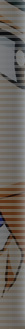 <$MTBlogName$>：新着情報