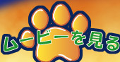準備中