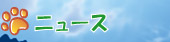ニュース
