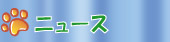 ニュース