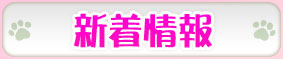 新着情報