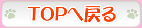 ＴＯＰへ戻る