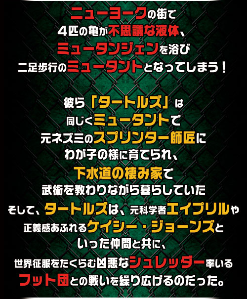 ニューヨークの街で４匹の亀が不思議な液体、ミュータンジェンを浴び二足歩行のミュータントとなってしまう！彼ら「タートルズ」は同じくミュータントで元ネズミのスプリンター師匠にわが子の様に育てられ、下水道の棲み家で武術を教わりながら暮らしていたそして、タートルズは、元科学者エイプリルや正義感あふれるケイシー・ジョーンズといった仲間と共に、世界征服をたくらむ凶悪なシュレッダー率いるフット団との戦いを繰り広げるのだった。