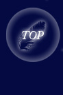ＴＯＰへ戻る