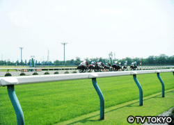 ビーチ＆新潟競馬 022.jpg