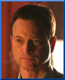 マック・テイラー