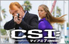 CSI:マイアミ7