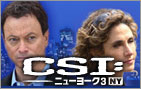 CSI:NY3