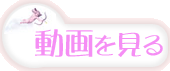 動画を見る