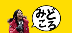 みどころ