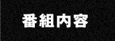 番組内容