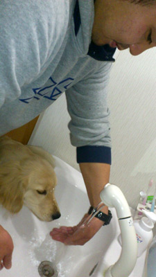 写真