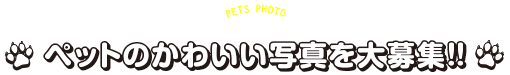 ペットのかわいい写真を大募集!!