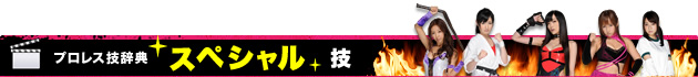プロレス辞典：スペシャル技