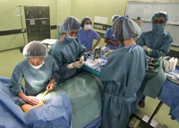 乳房の再生治療に取り組む九州中央病院