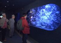 世界が注目の“異色”水族館